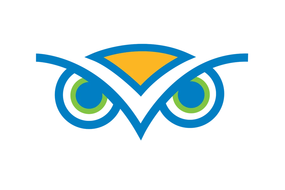 WISe Transparent Logo